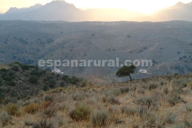 Proprietà commerciale a Taberno, Almeria, Spagna 8 camere da letto, 380 mq. N° 77997