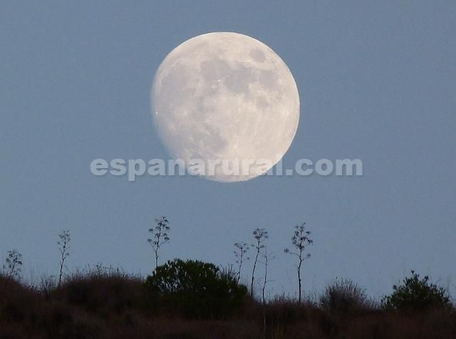 Proprietà commerciale a Taberno, Almeria, Spagna 8 camere da letto, 380 mq. N° 77997