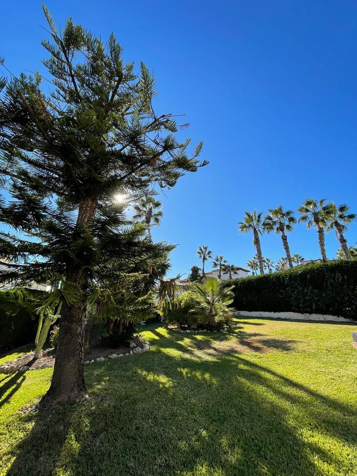 Villa in Villamartin, Alicante, Spain 3 bedrooms, 140 sq.m. No. 148397
