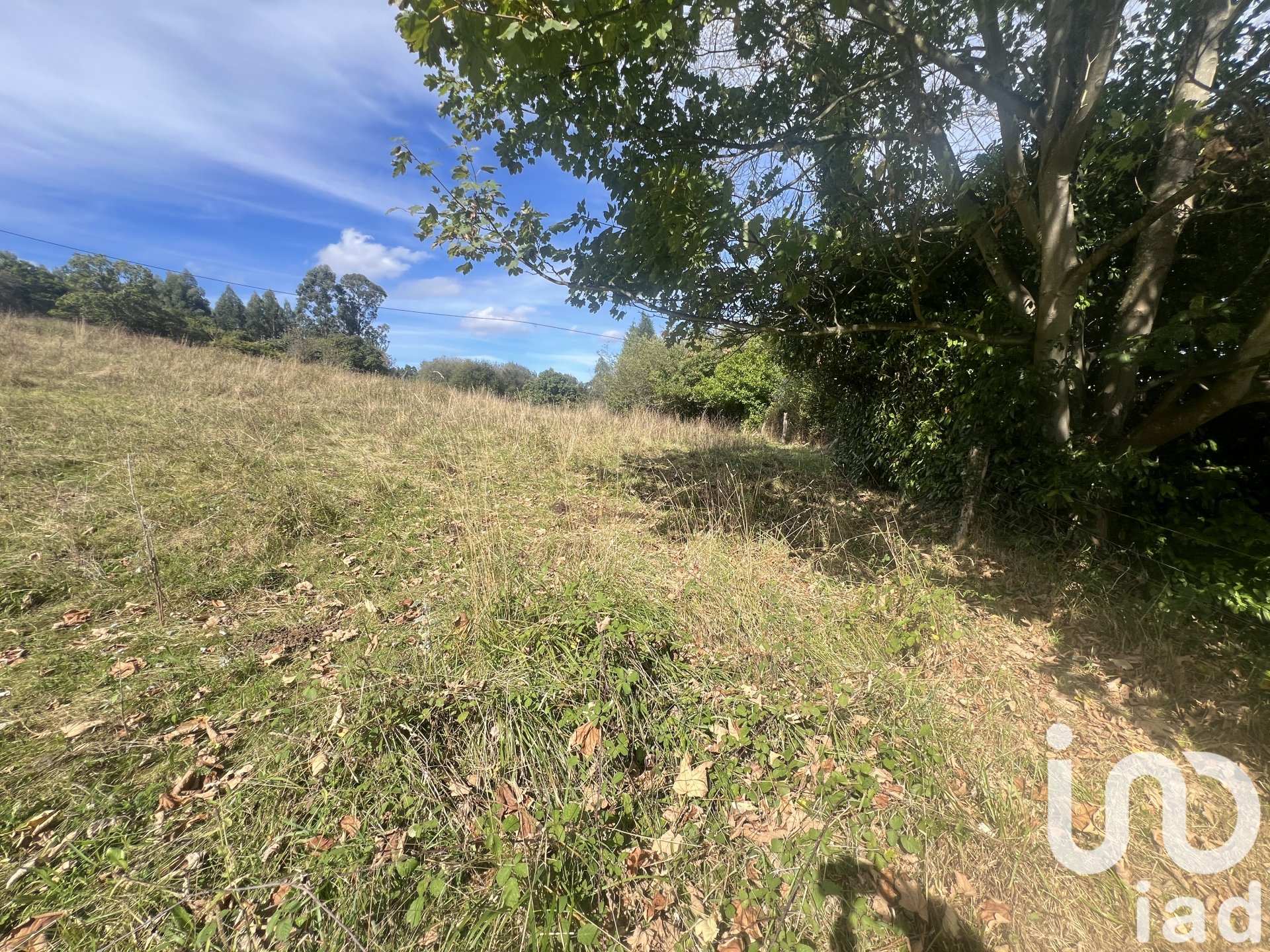 Land plot in Castrillon, Asturias, Spain 1250 sq.m. No. 185639