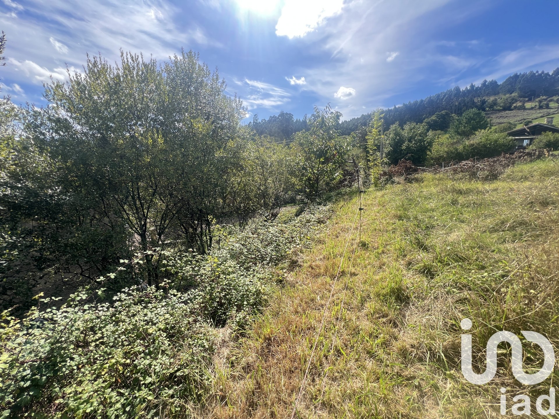 Land plot in Castrillon, Asturias, Spain 1250 sq.m. No. 185639