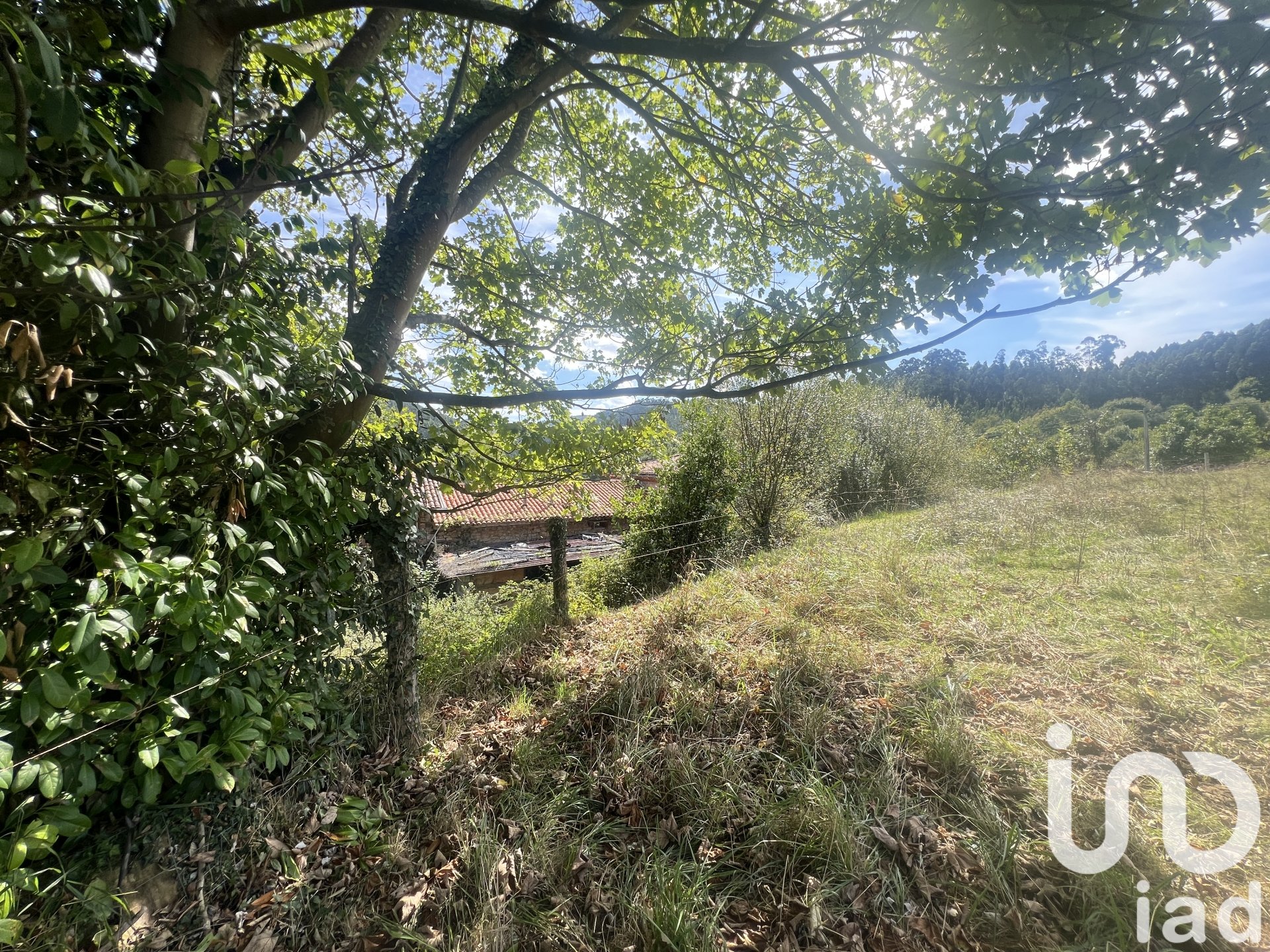 Land plot in Castrillon, Asturias, Spain 1250 sq.m. No. 185639