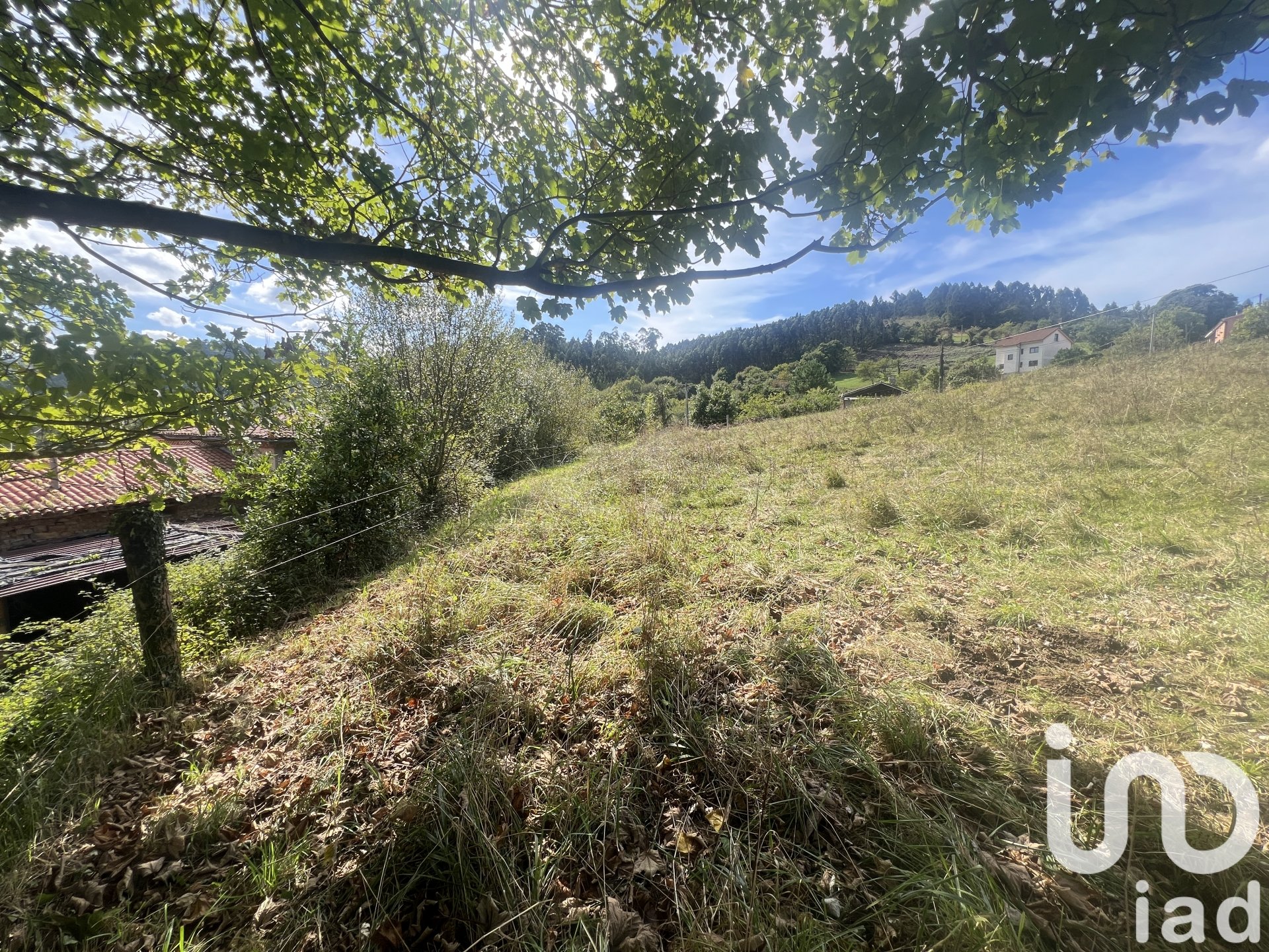 Land plot in Castrillon, Asturias, Spain 1250 sq.m. No. 185639