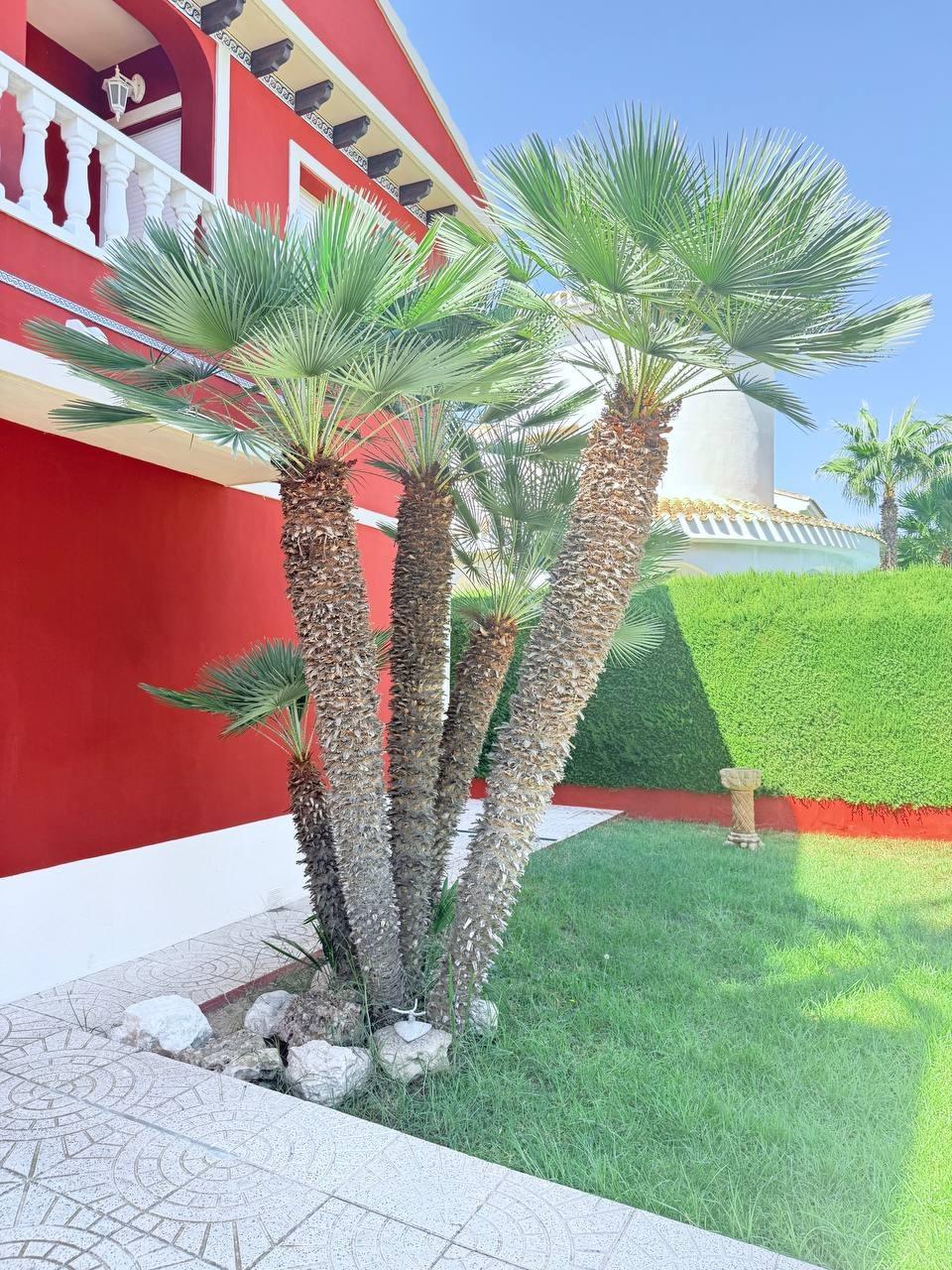 Villa in Dehesa De Campoamor, Alicante, Spanien 5 Schlafzimmer, 280 m2 Nr. 138005