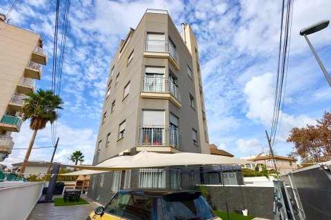 Lokal usługowy w Torrevieja, Alicante, Hiszpania 12 sypialni, 335 mkw. nr 166020