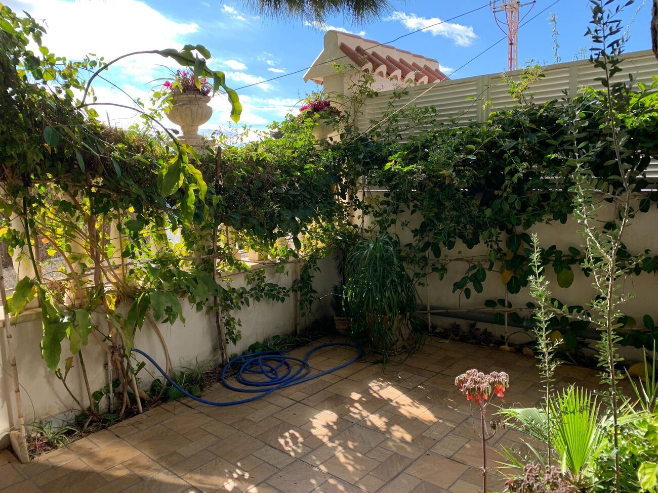 Townhouse in La Zenia, Alicante, Spain 4 bedrooms, 110 sq.m. No. 115242
