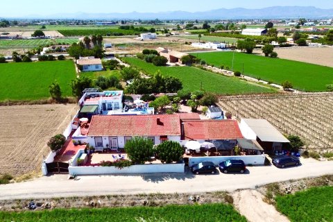 Villa in Dolores, Alicante, Spain 7 bedrooms, 374 sq.m. No. 139952