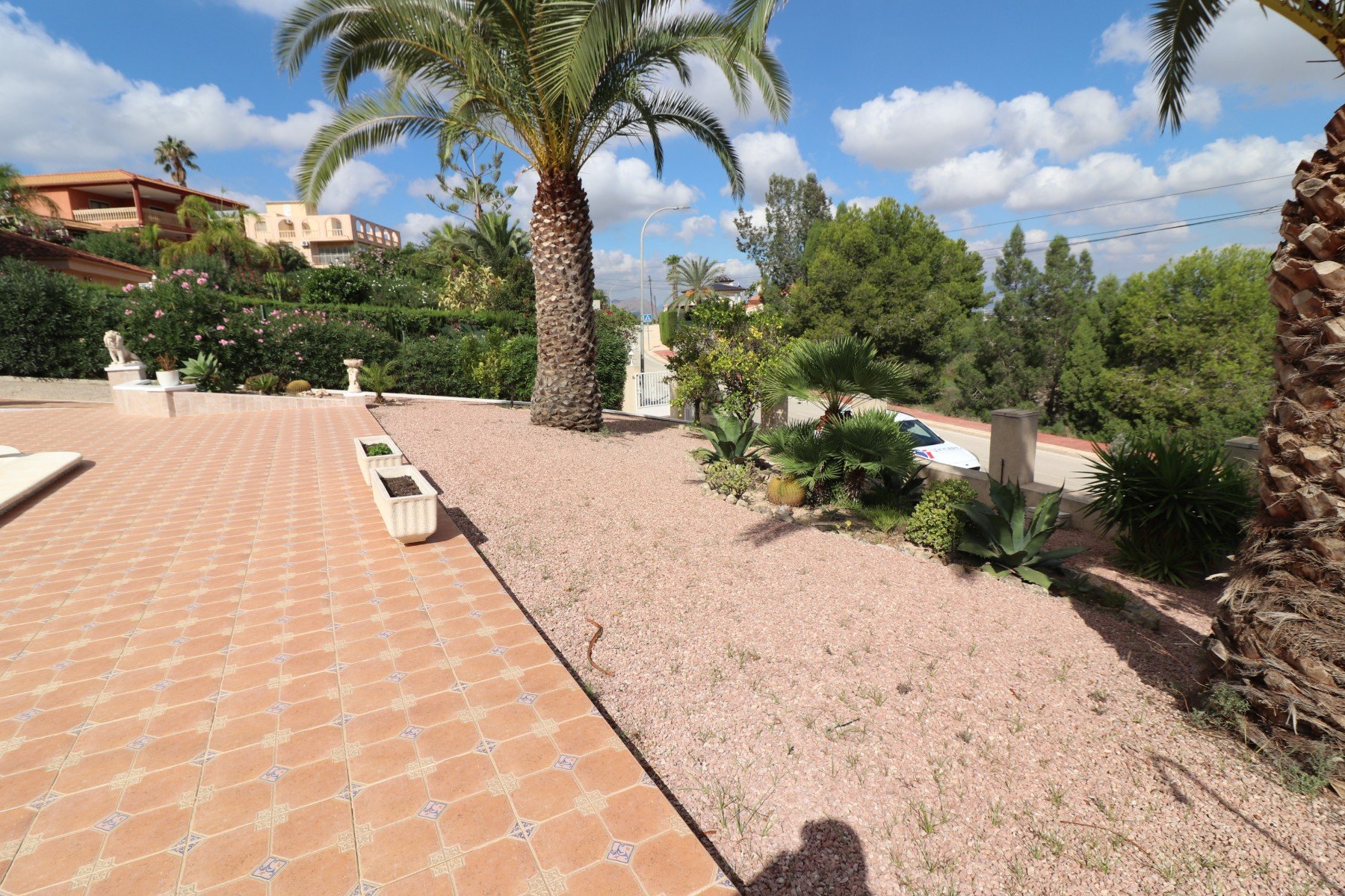 Villa Algorfa, Alicante, Spānijā 3 istabas, 216 m2 Nr. 146572