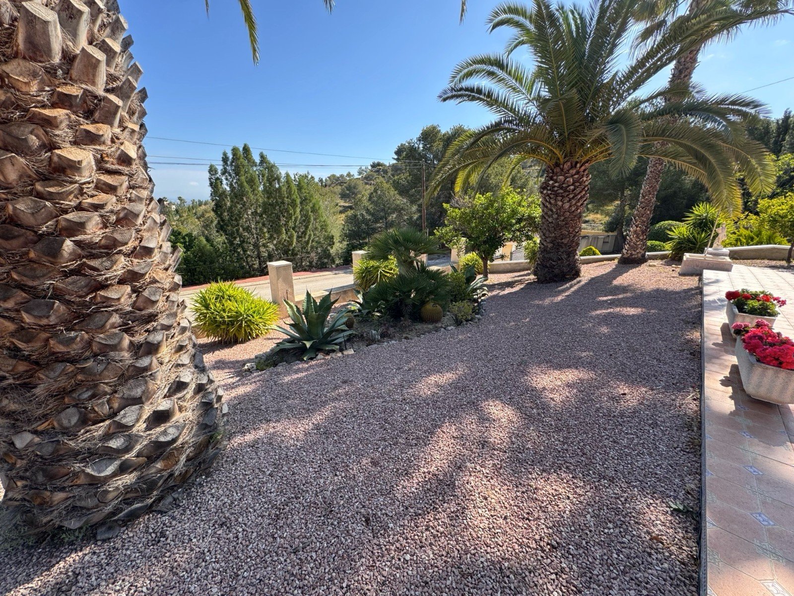 Villa Algorfa, Alicante, Spānijā 3 istabas, 216 m2 Nr. 146572