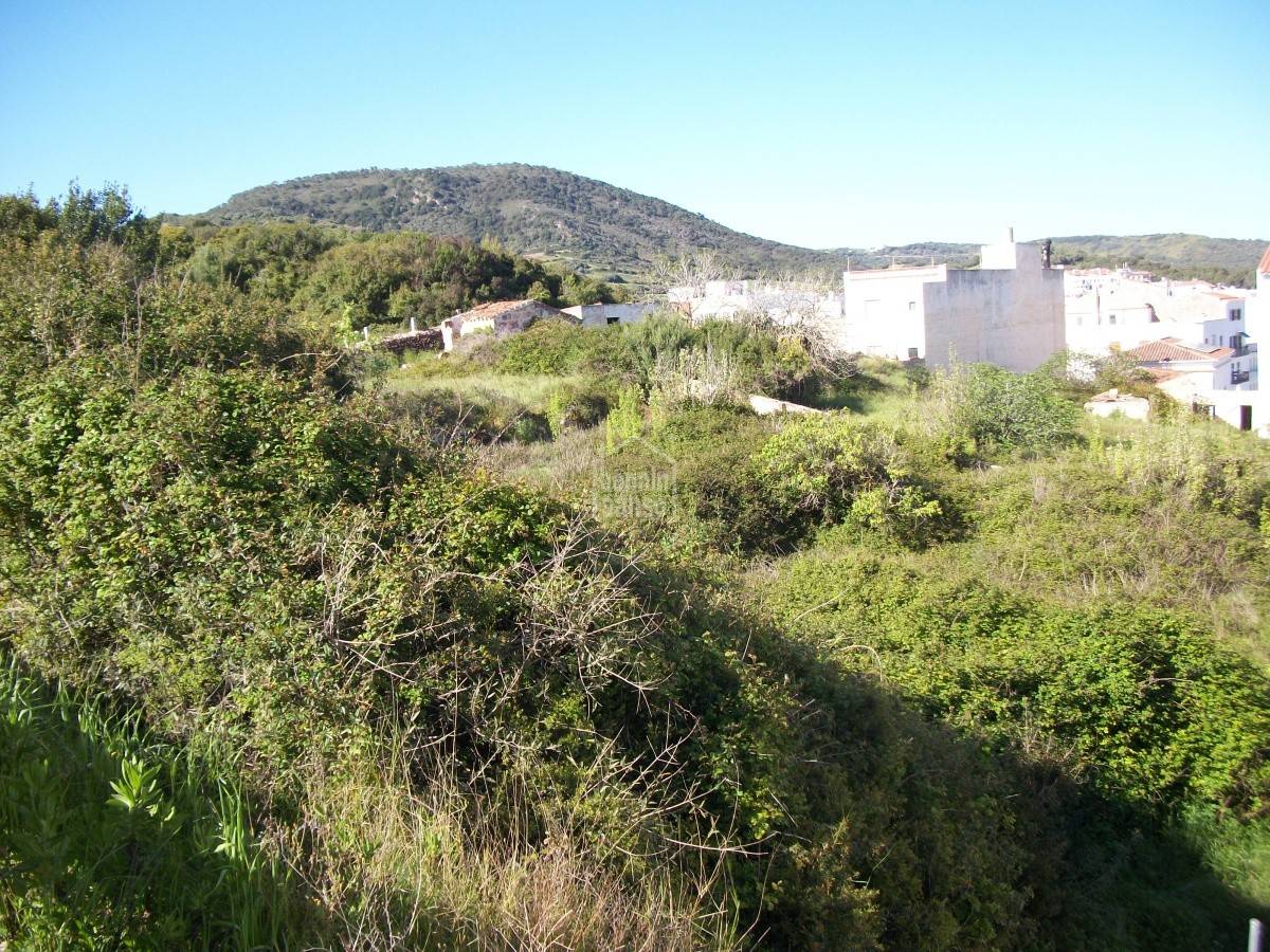 Parcela en Ferreries, Menorca, España No. 65508