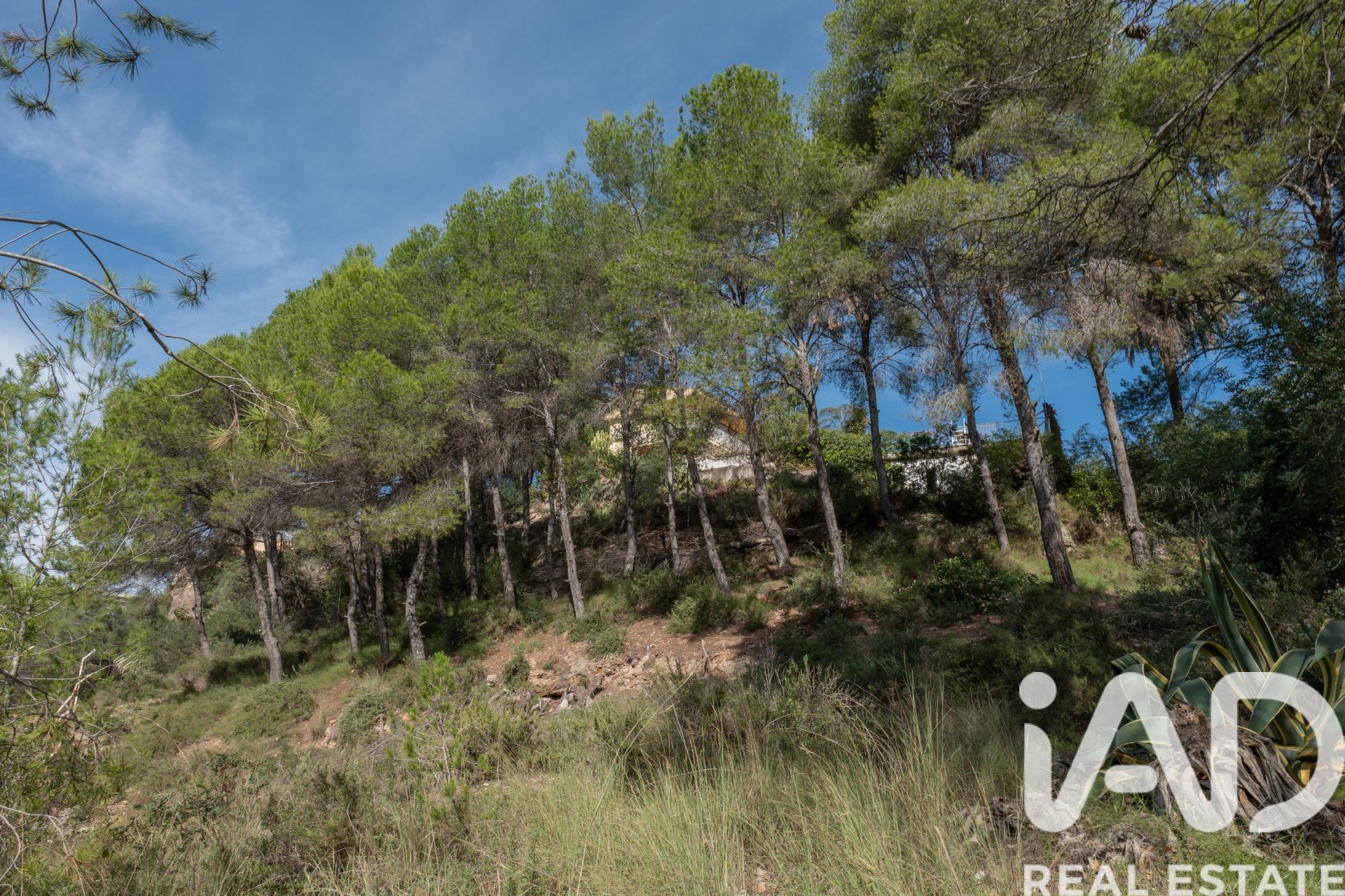 Apartment à Almassora, Castellon, Espagne 5 chambres, 457 m2 No. 152841