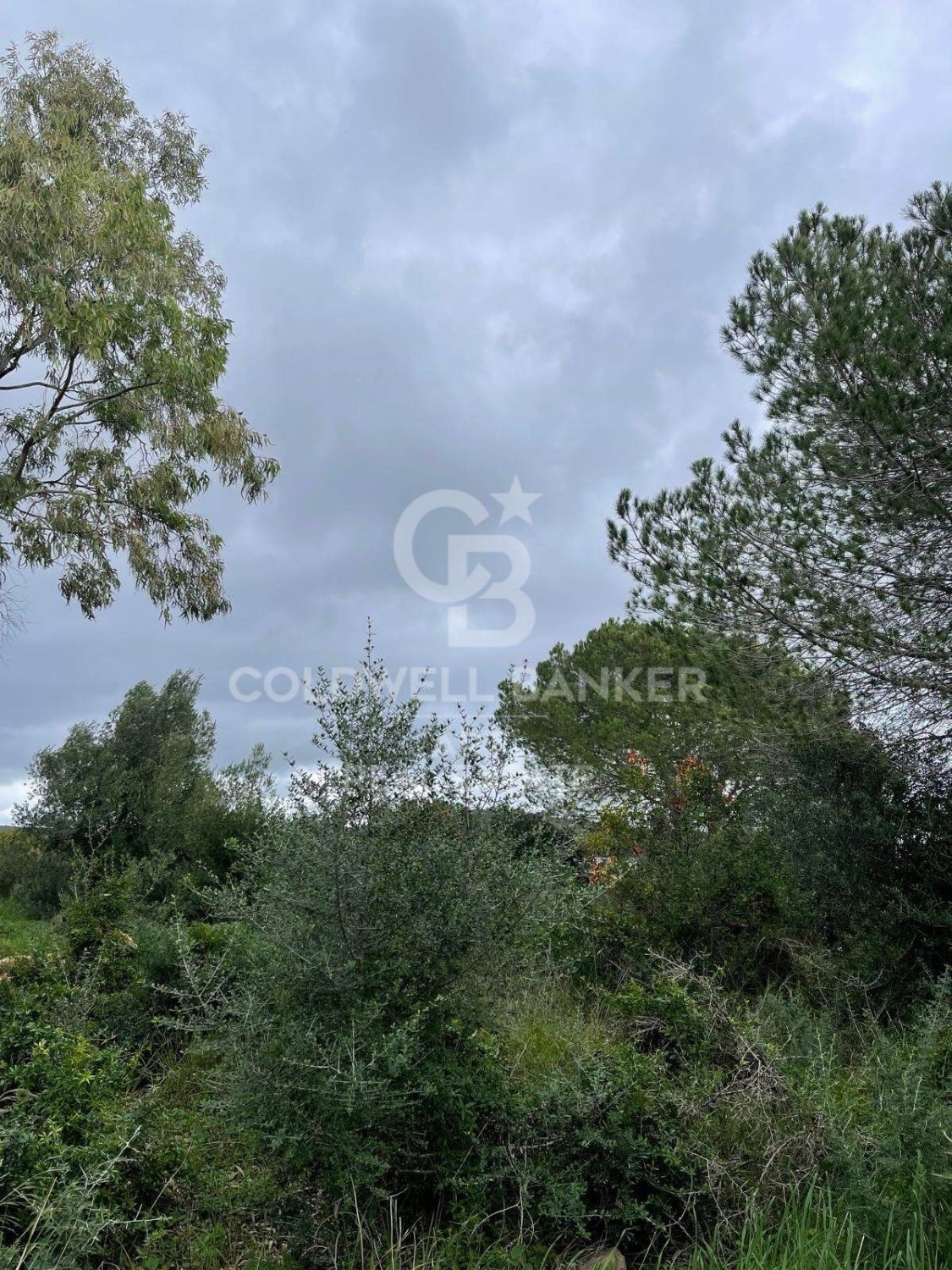 Land plot in Sotogrande, Cadiz, Spain 2000 sq.m. No. 159585