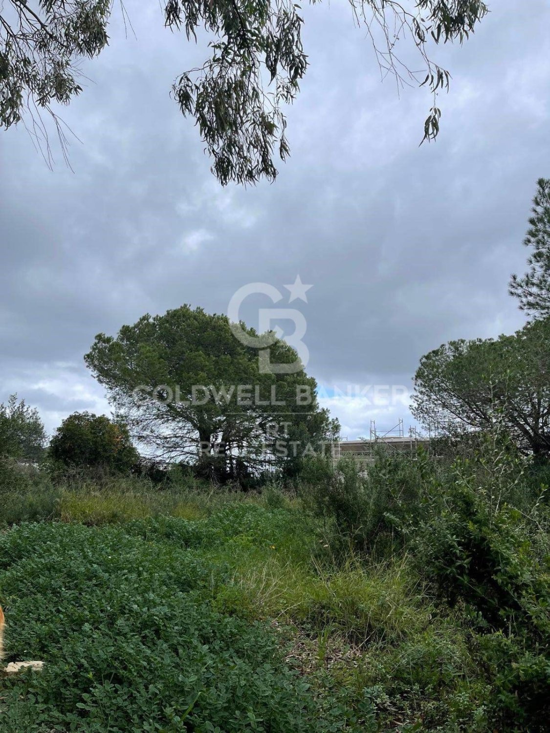 Land plot in Sotogrande, Cadiz, Spain 2000 sq.m. No. 159585