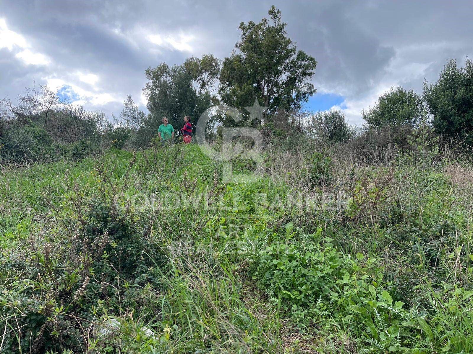 Land plot in Sotogrande, Cadiz, Spain 2000 sq.m. No. 159585