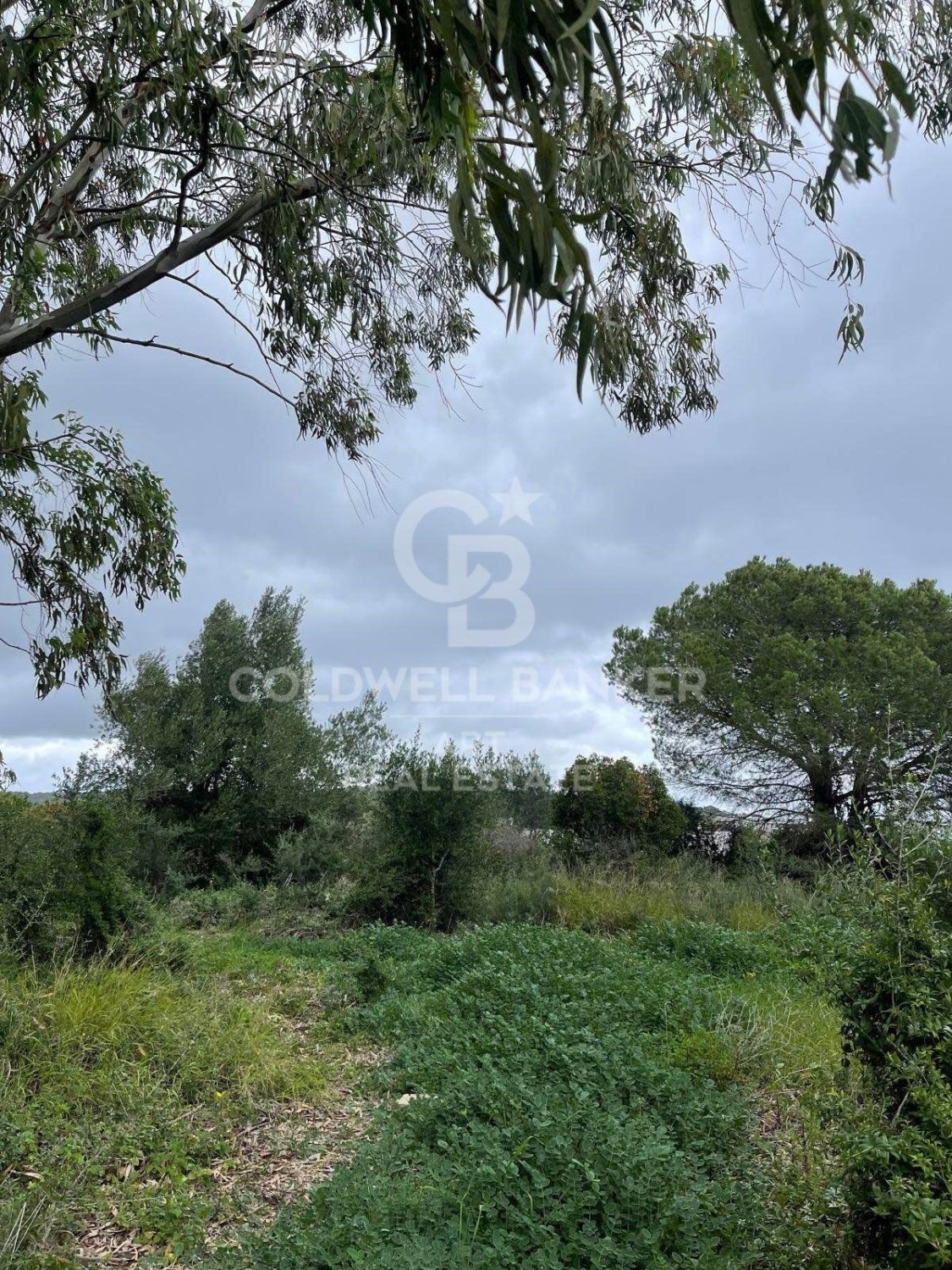 Land plot in Sotogrande, Cadiz, Spain 2000 sq.m. No. 159585