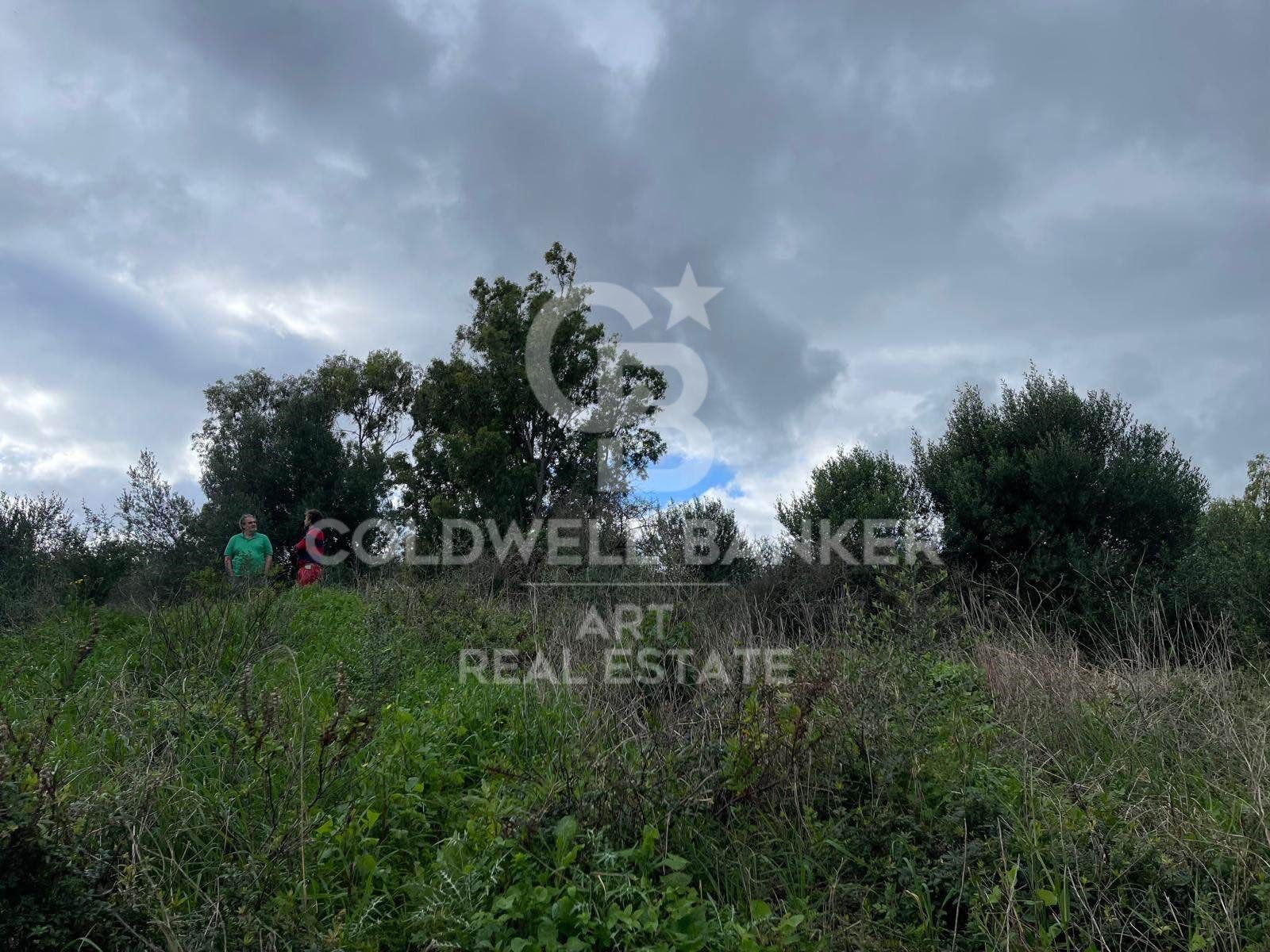 Land plot in Sotogrande, Cadiz, Spain 2000 sq.m. No. 159585
