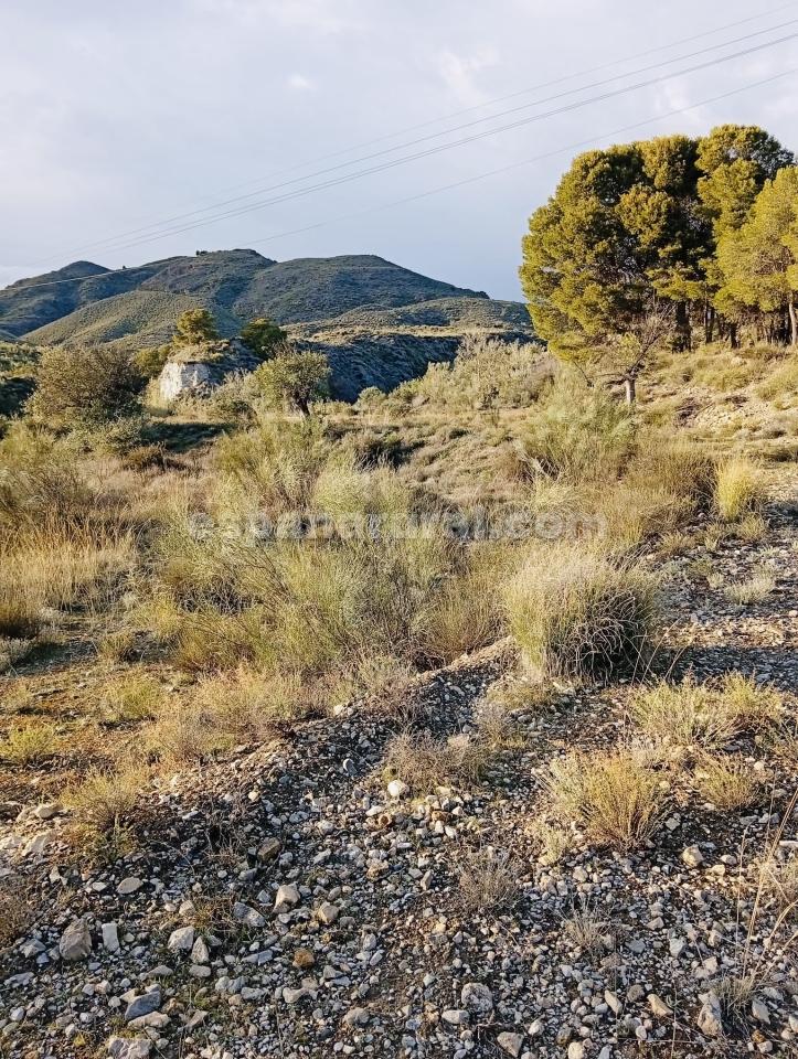 Parcela en Somontin, Almería, España 4 dormitorios, 190 m2 No. 183988