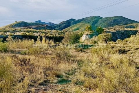 Land plot à Somontin, Almeria, Espagne 4 chambres, 190 m2 No. 183988