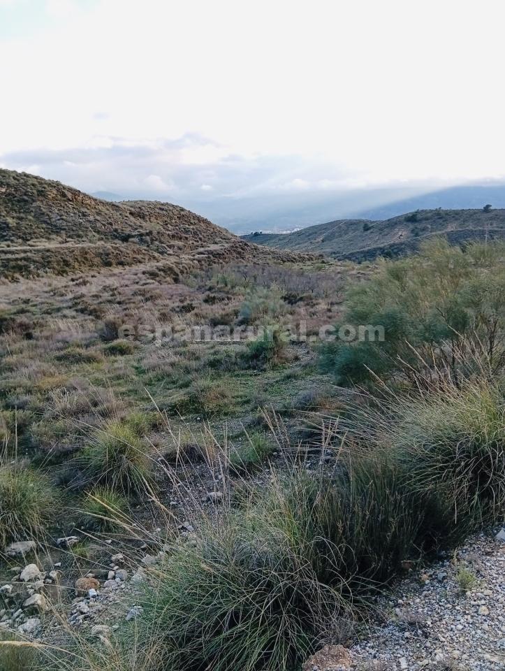 Parcela en Somontin, Almería, España 4 dormitorios, 190 m2 No. 183988