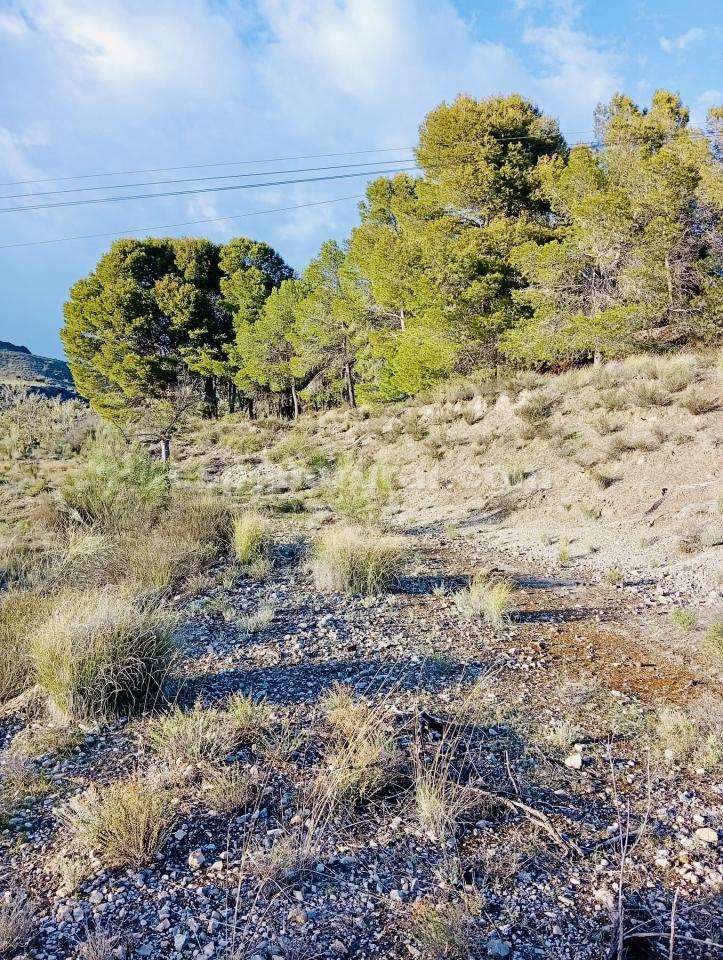 Parcela en Somontin, Almería, España 4 dormitorios, 190 m2 No. 183988