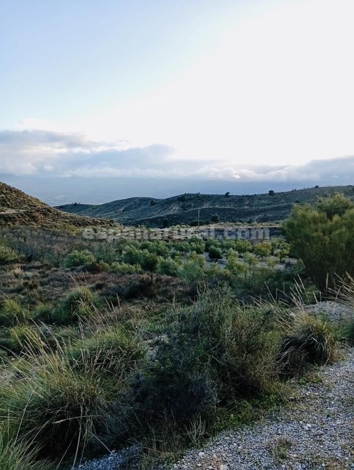 Parcela en Somontin, Almería, España 4 dormitorios, 190 m2 No. 183988