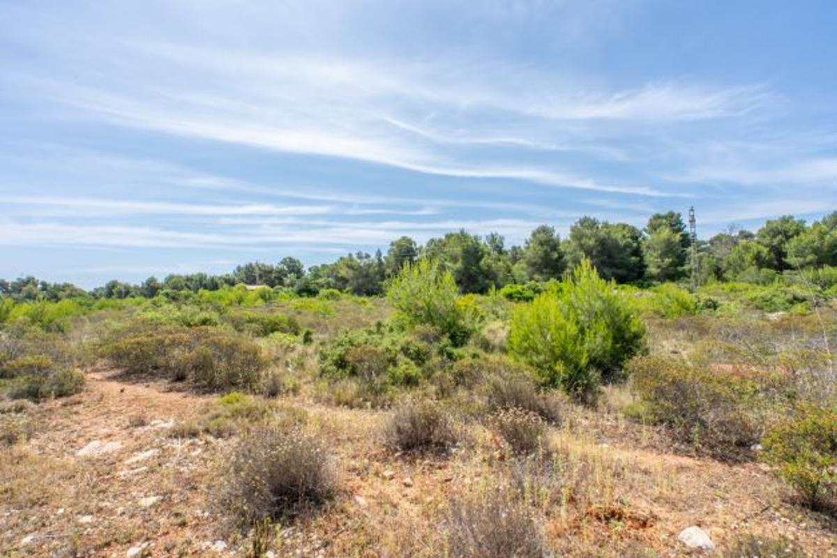 Tontti Javea, Alicante, Espanja 35 m2 No. 80700