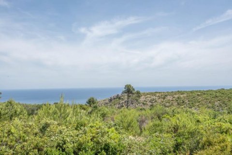 Land plot in Javea, Alicante, Spain 35 sq.m. No. 80700