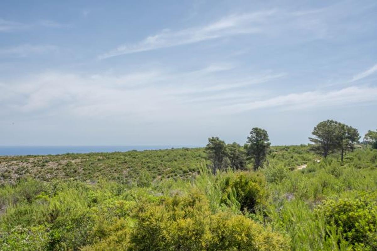 Tontti Javea, Alicante, Espanja 35 m2 No. 80700