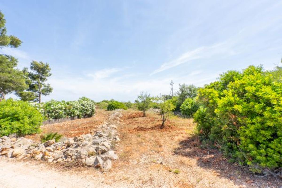 Tontti Javea, Alicante, Espanja 35 m2 No. 80700