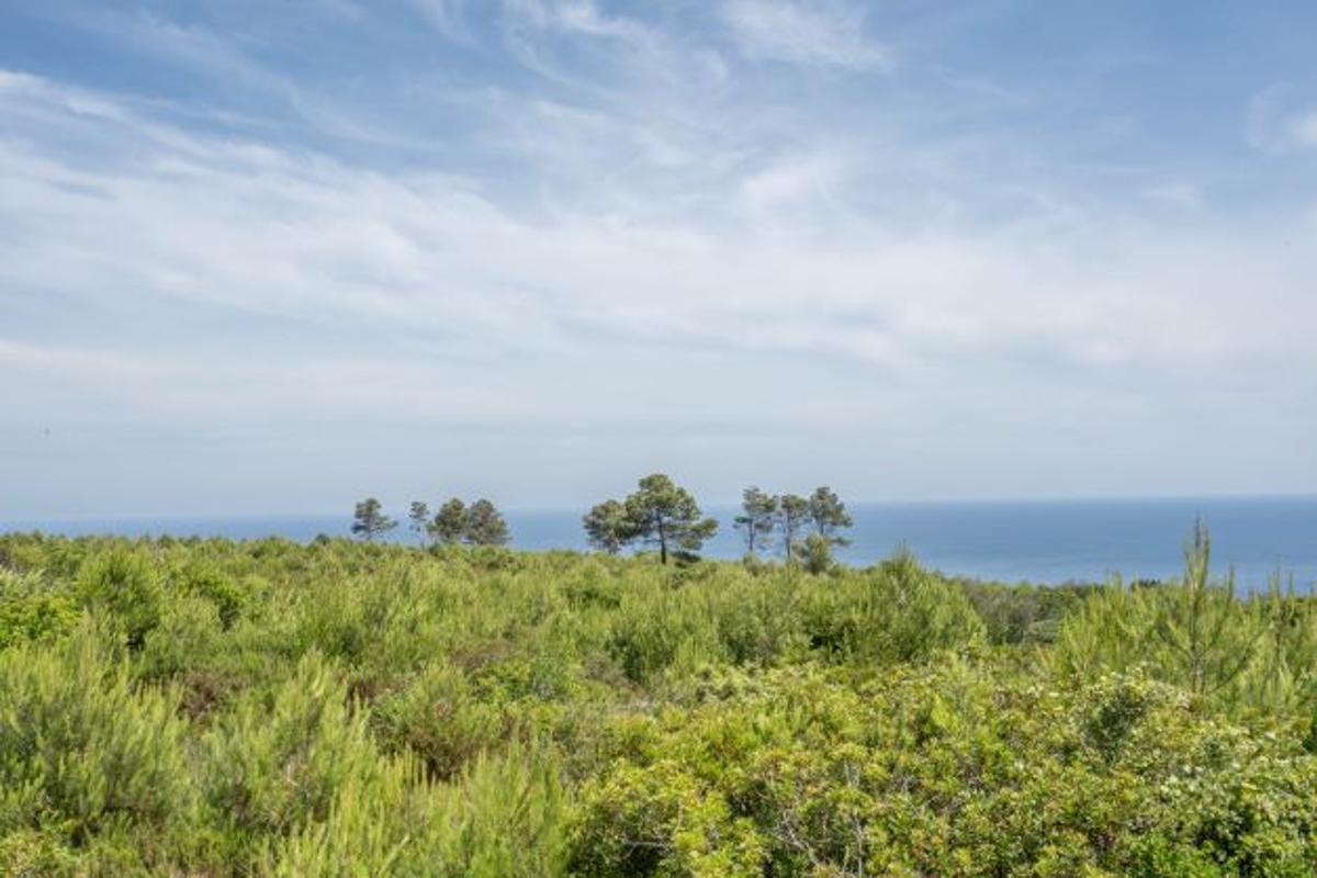Tontti Javea, Alicante, Espanja 35 m2 No. 80700