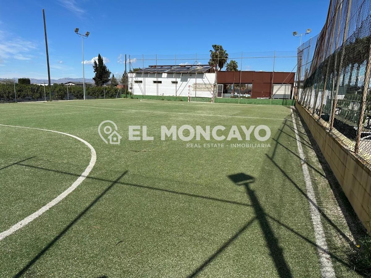 Commercial property in Guardamar del Segura, Alicante, Spain No. 149076