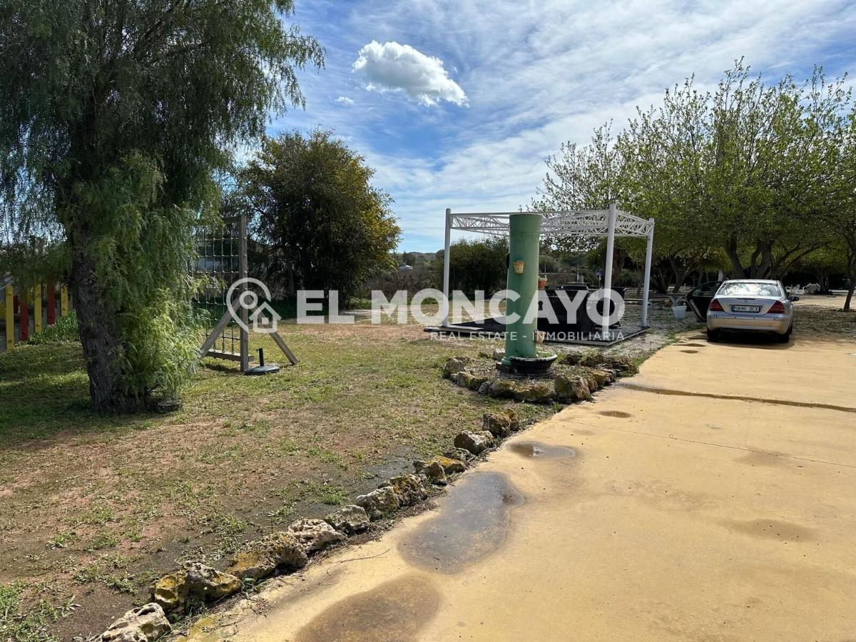 Commercial property in Guardamar del Segura, Alicante, Spain No. 149076