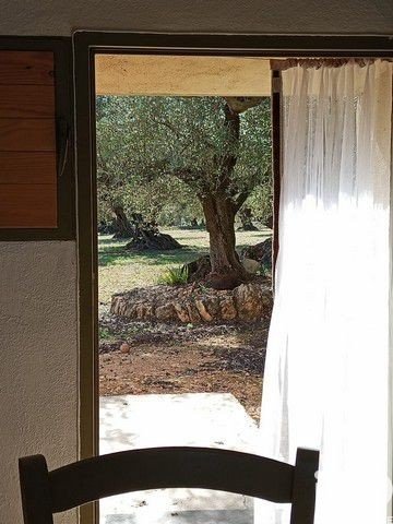 Land in Roquetes, Tarragona, Spanien 34000 m2 Nr. 185208