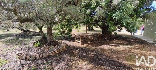 Land in Roquetes, Tarragona, Spanien 34000 m2 Nr. 185208