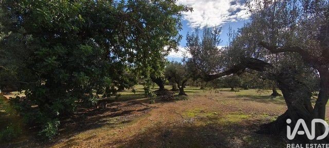 Land in Roquetes, Tarragona, Spanien 34000 m2 Nr. 185208