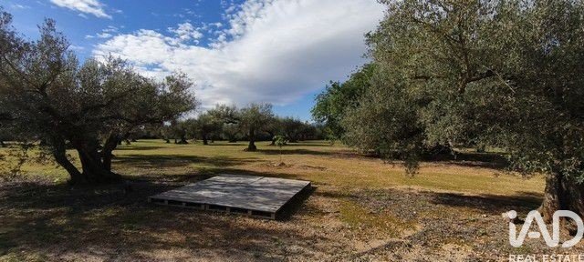 Land in Roquetes, Tarragona, Spanien 34000 m2 Nr. 185208