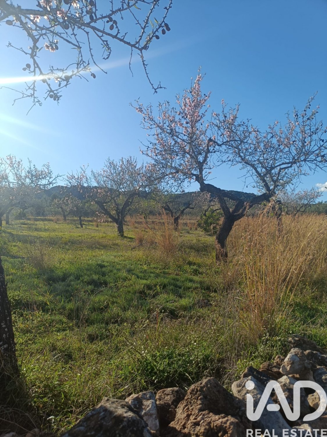 Land plot in El Perello, Tarragona, Spain 4739 sq.m. No. 185209