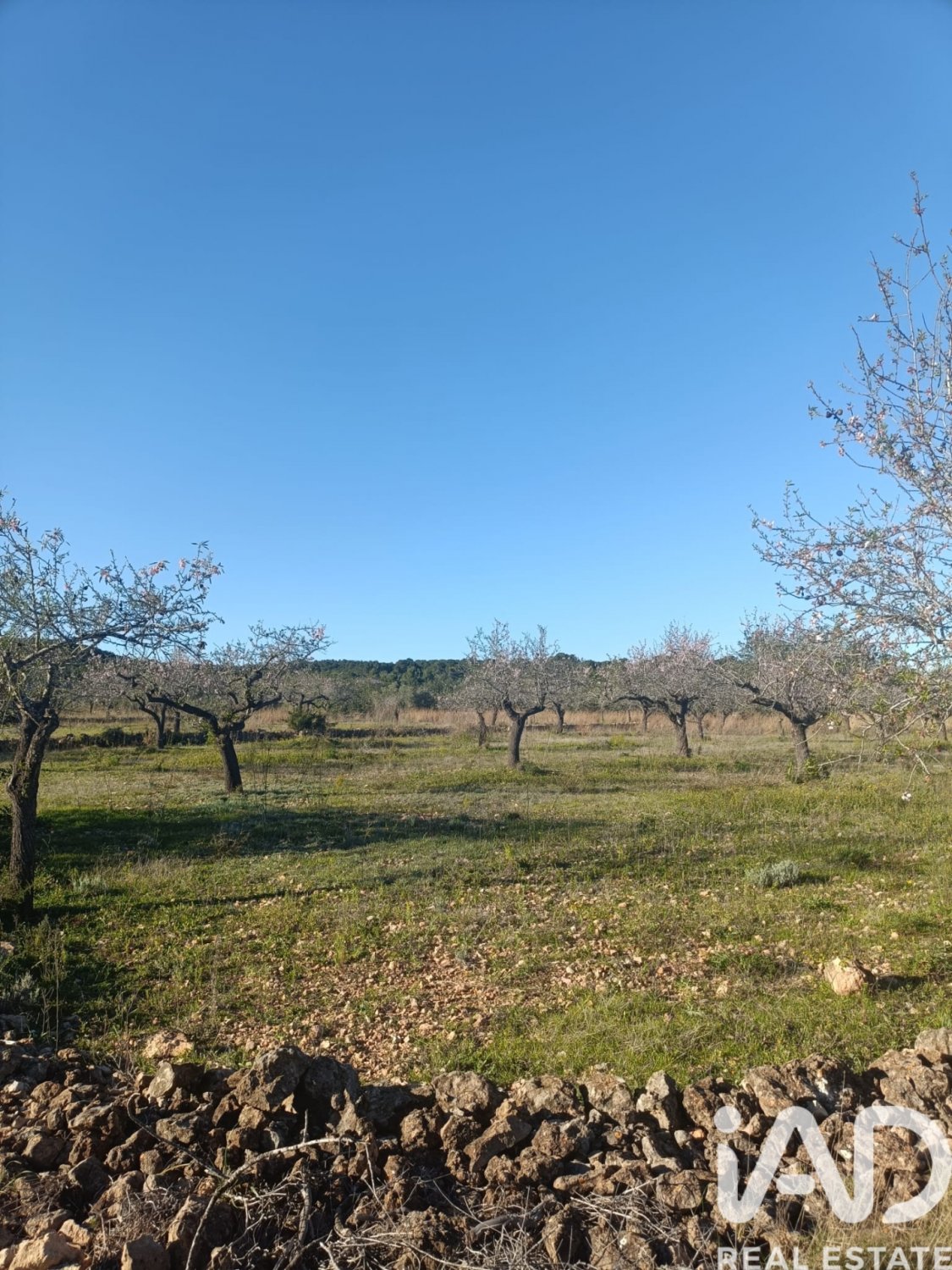 Land plot in El Perello, Tarragona, Spain 4739 sq.m. No. 185209