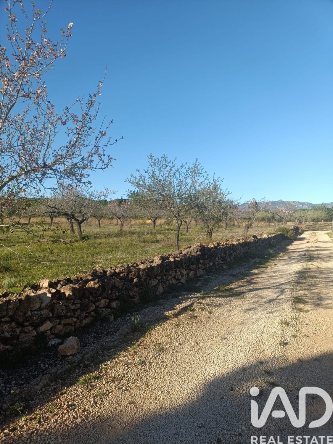 Land plot in El Perello, Tarragona, Spain 4739 sq.m. No. 185209