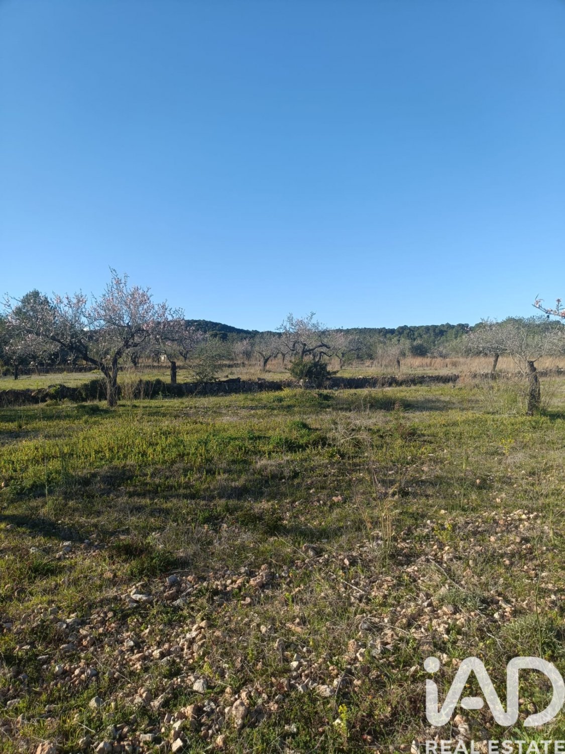 Land plot in El Perello, Tarragona, Spain 4739 sq.m. No. 185209