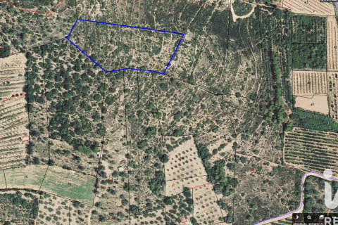 Komerciāls īpašums Ulldecona, Tarragona, Spānijā Nr. 185212