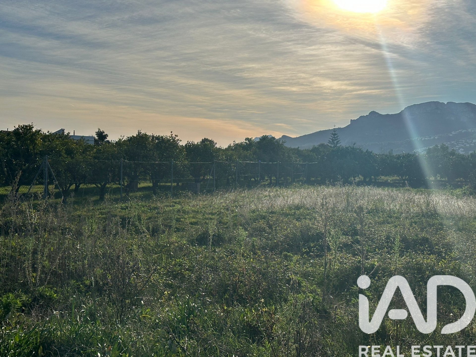 Land plot à Pego, Alicante, Espagne 9802 m2 No. 185173