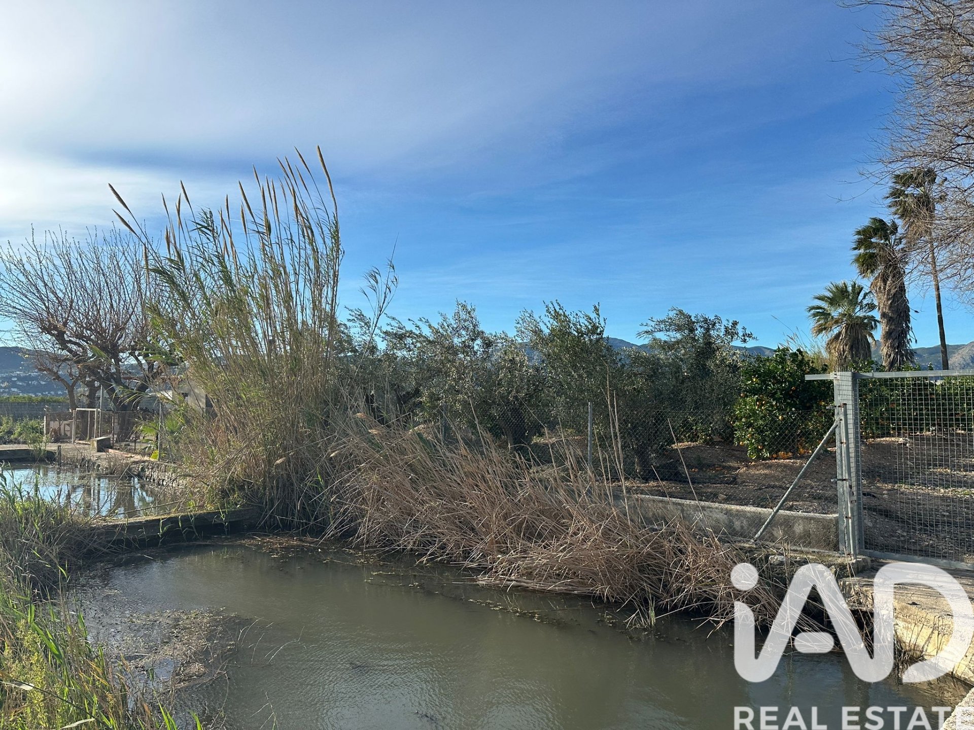 Land plot à Pego, Alicante, Espagne 9802 m2 No. 185173