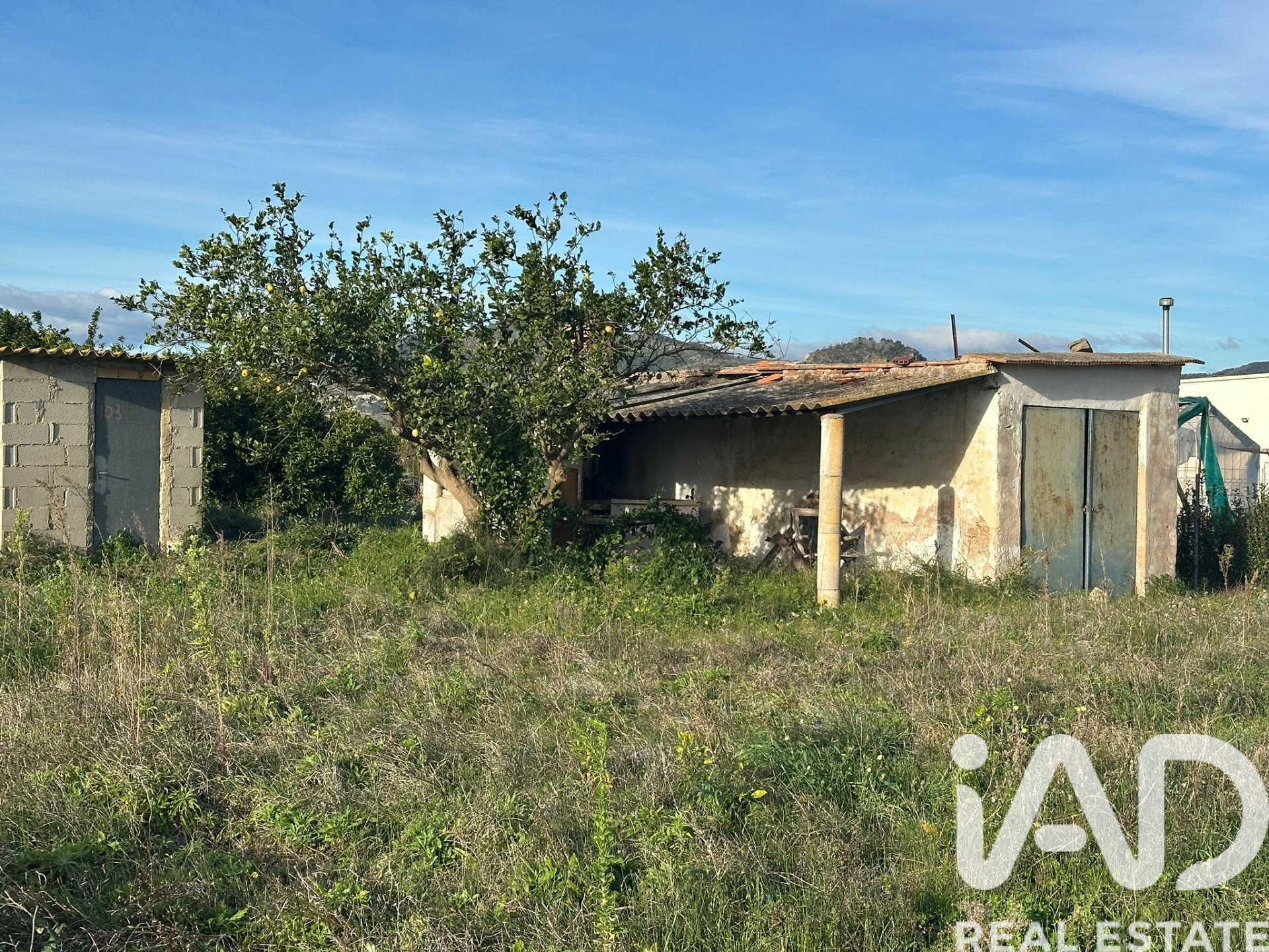 Land plot à Pego, Alicante, Espagne 9802 m2 No. 185173