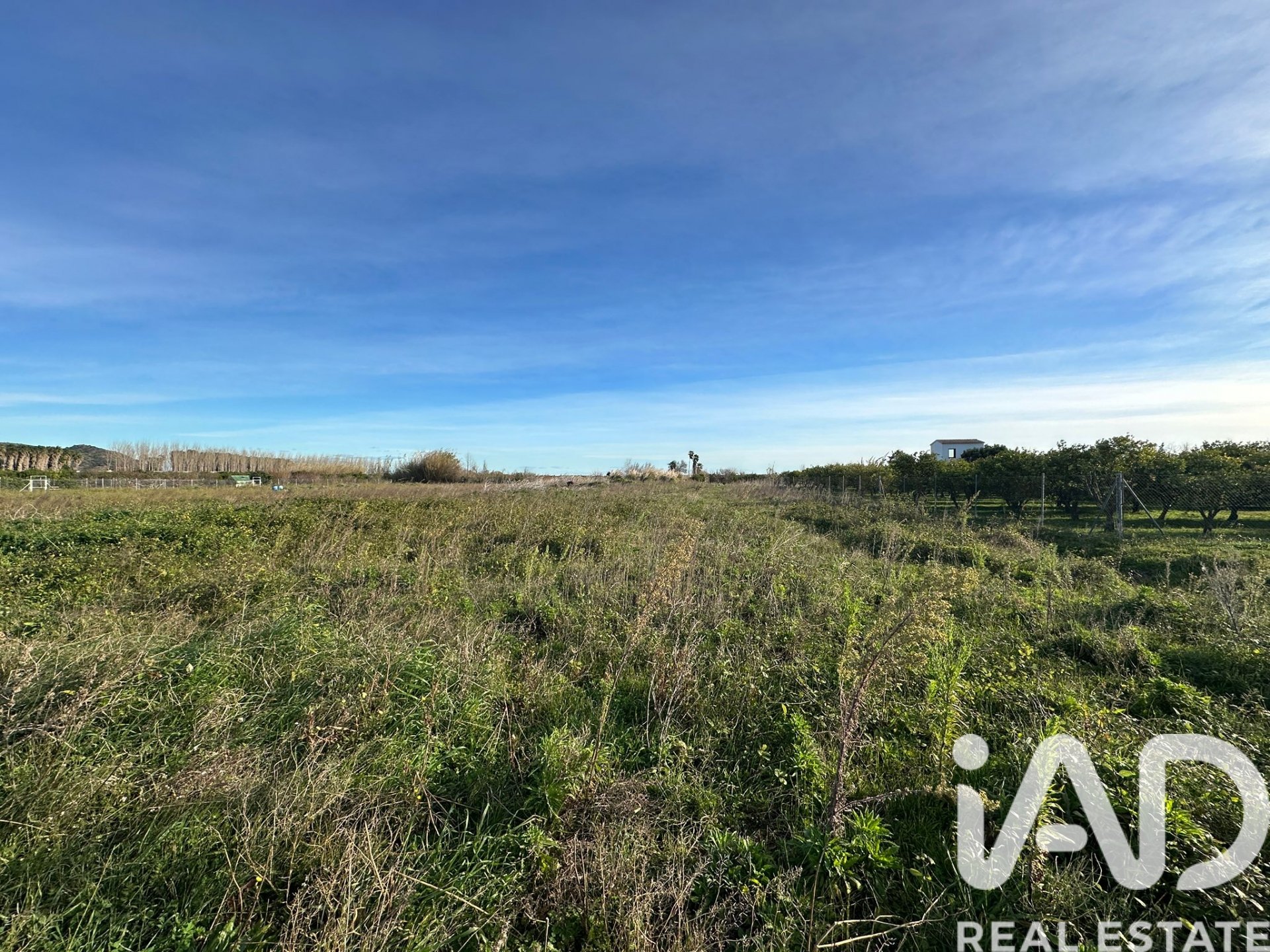 Land plot à Pego, Alicante, Espagne 9802 m2 No. 185173