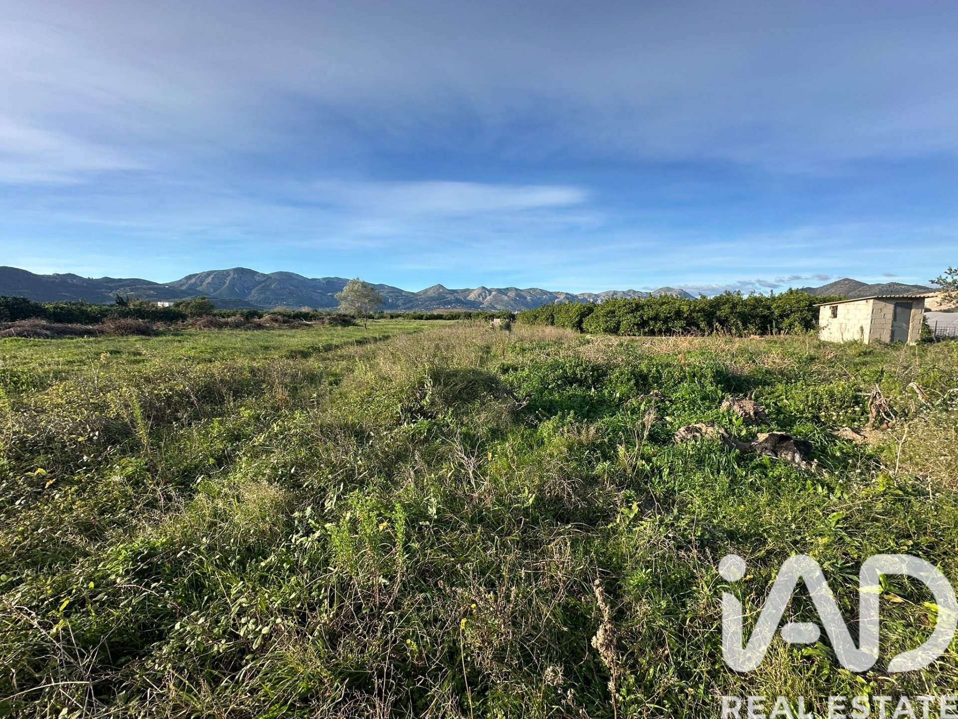 Land plot à Pego, Alicante, Espagne 9802 m2 No. 185173