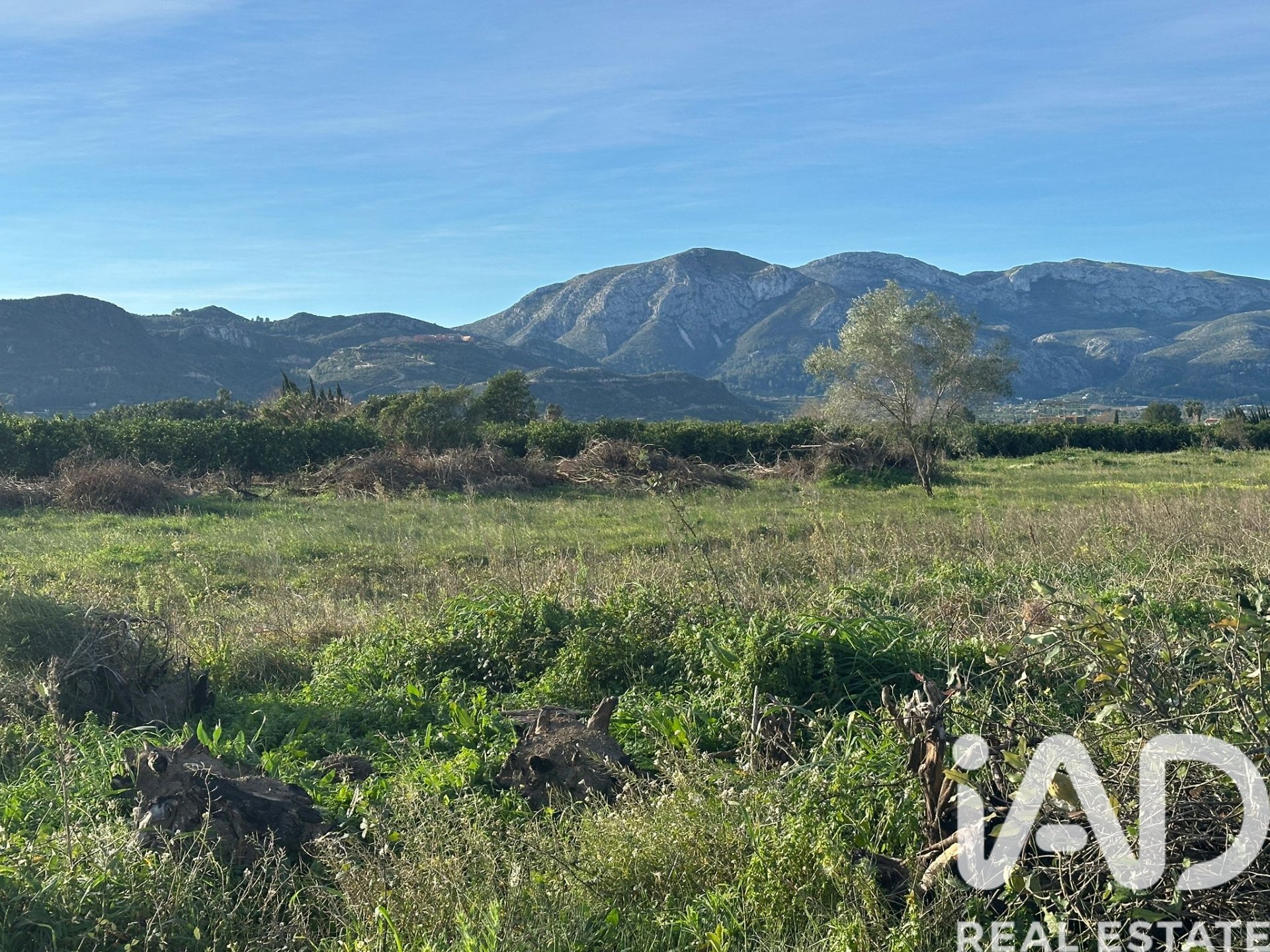 Land plot à Pego, Alicante, Espagne 9802 m2 No. 185173