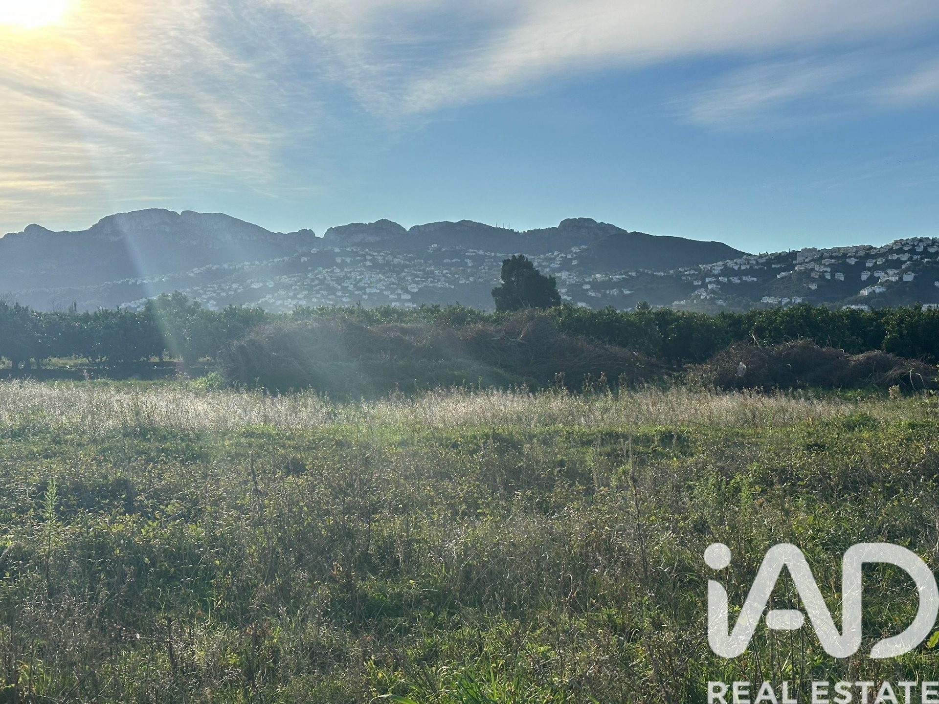 Land plot à Pego, Alicante, Espagne 9802 m2 No. 185173
