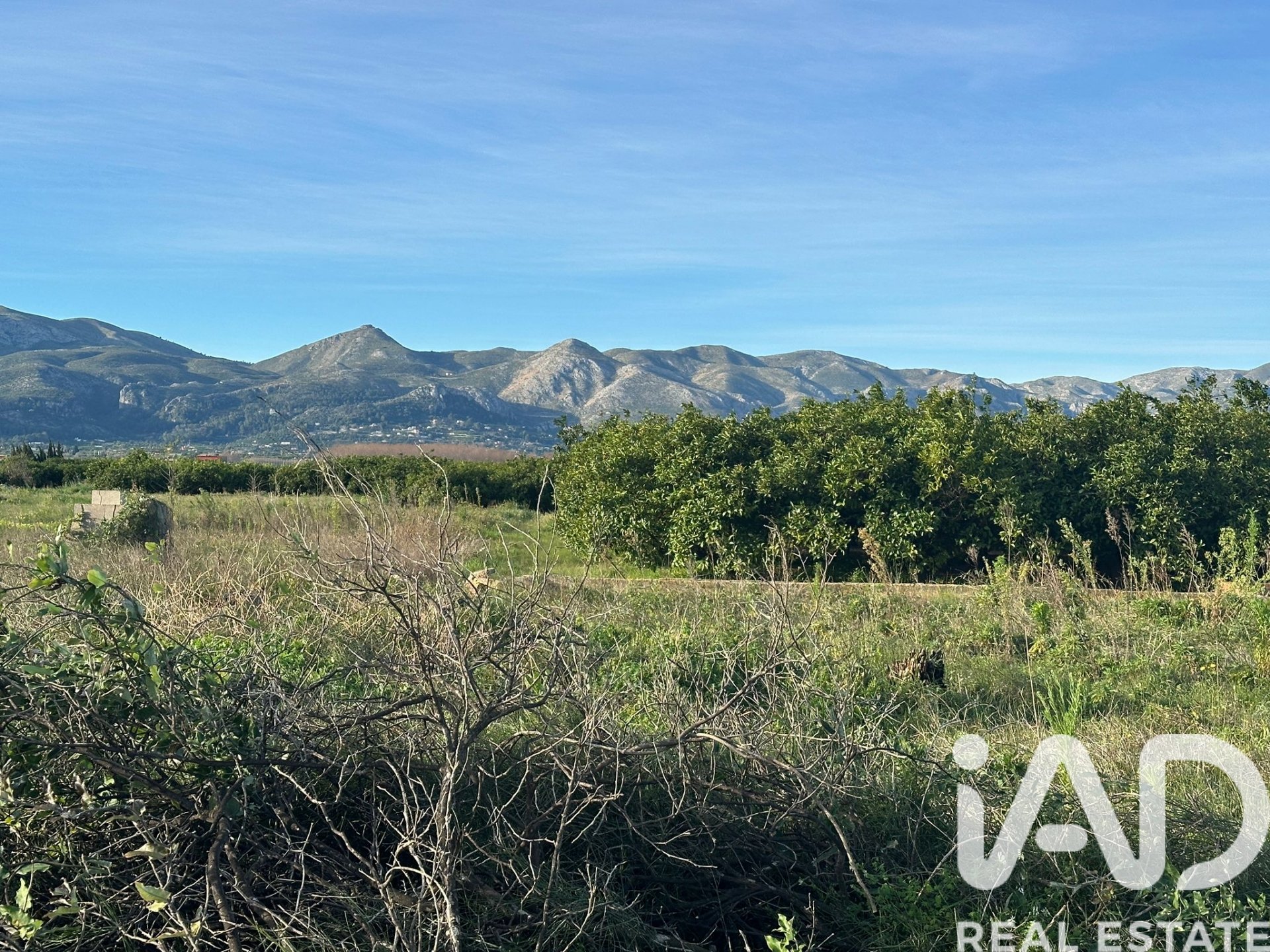 Land plot à Pego, Alicante, Espagne 9802 m2 No. 185173