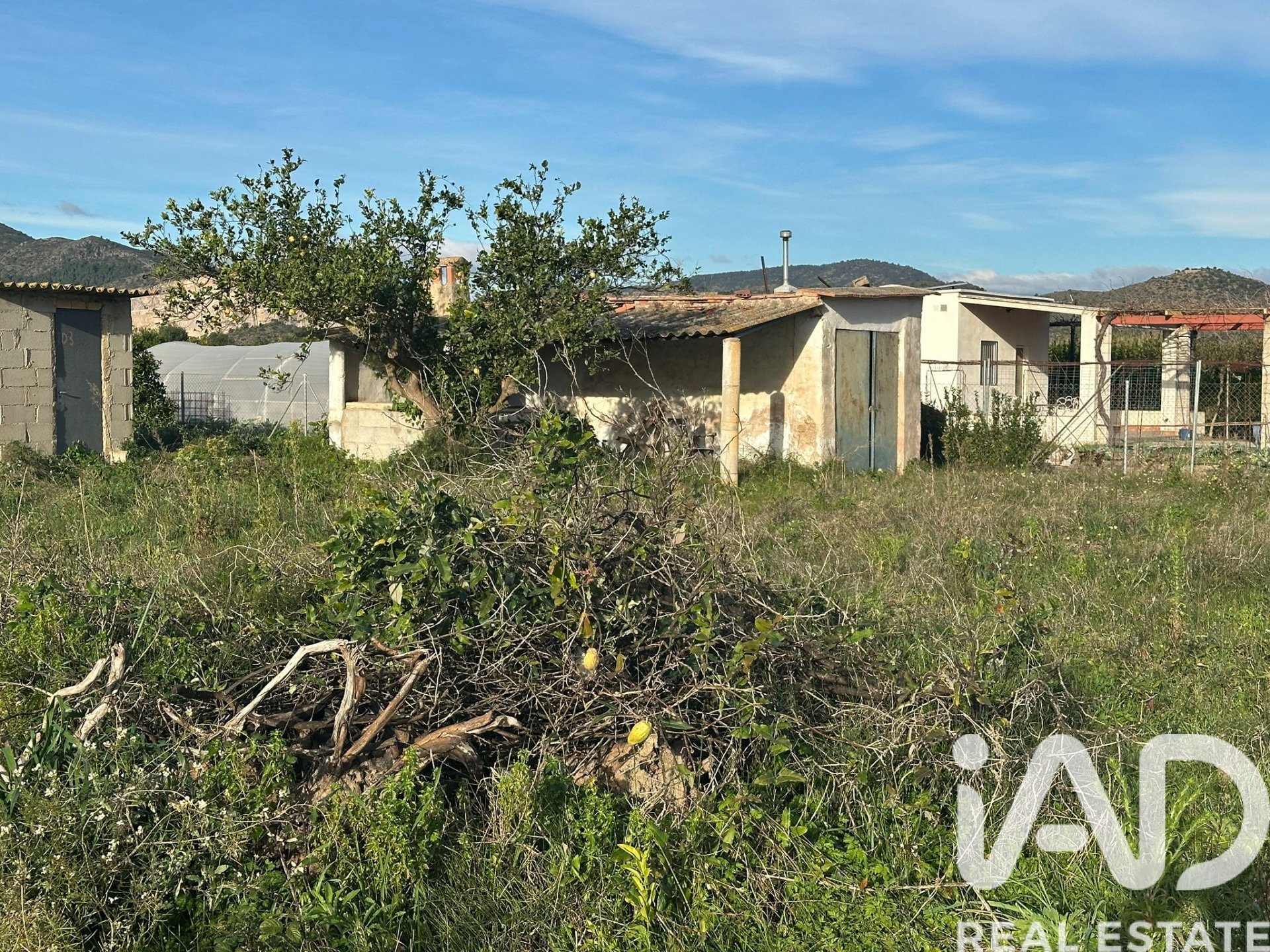 Land plot à Pego, Alicante, Espagne 9802 m2 No. 185173